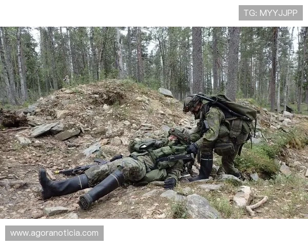 芬兰队防守反击风格近期表现稳健，战术执行力持续提升